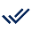Audit icon
